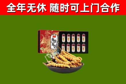 巴林右旗回收冬虫夏草价格
